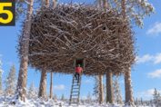 15 incredible treehouses and unusual homes built among trees around the world